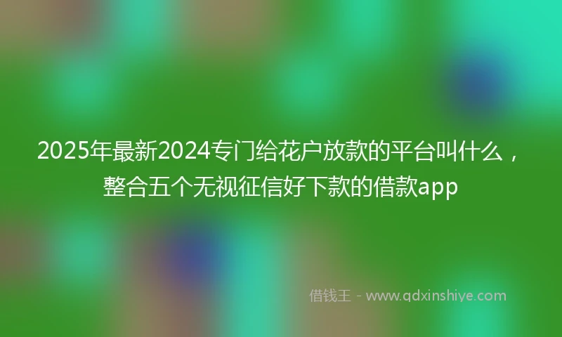 2025年最新2024专门给花户放款的平台叫什么，整合五个无视征信好下款的借款app