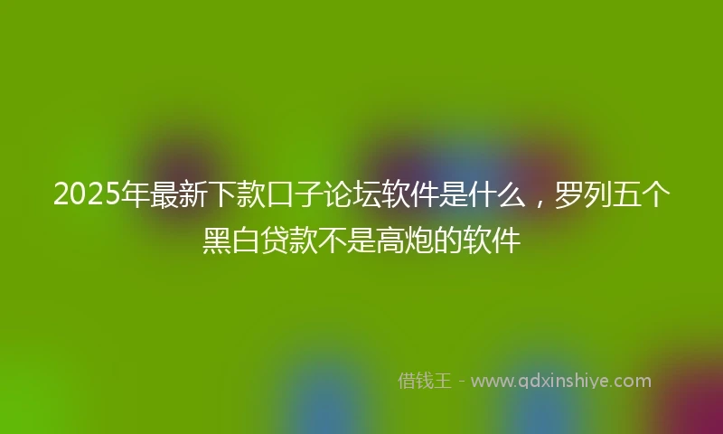 2025年最新下款口子论坛软件是什么，罗列五个黑白贷款不是高炮的软件