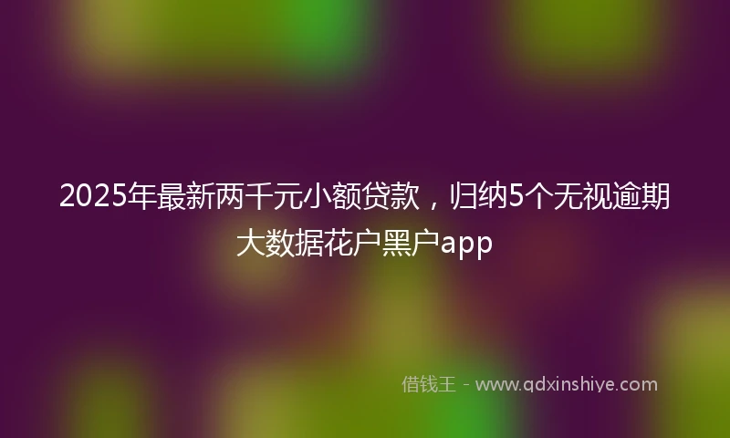 2025年最新两千元小额贷款，归纳5个无视逾期大数据花户黑户app