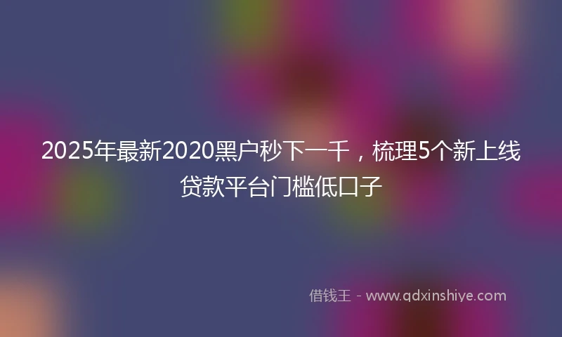 2025年最新2020黑户秒下一千，梳理5个新上线贷款平台门槛低口子