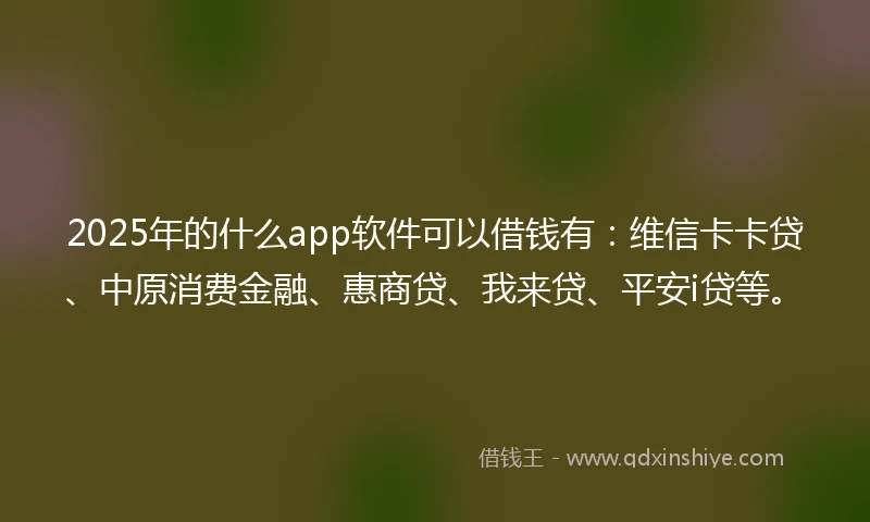 2025年的什么app软件可以借钱有：维信卡卡贷、中原消费金融、惠商贷、我来贷、平安i贷等。