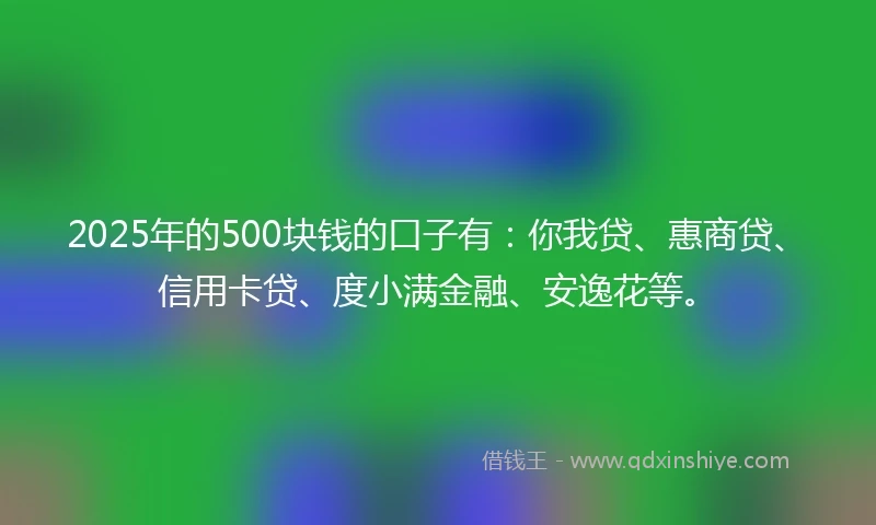 2025年的500块钱的口子有：你我贷、惠商贷、信用卡贷、度小满金融、安逸花等。