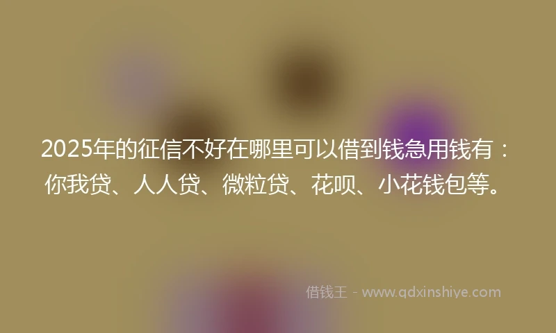 2025年的征信不好在哪里可以借到钱急用钱有：你我贷、人人贷、微粒贷、花呗、小花钱包等。