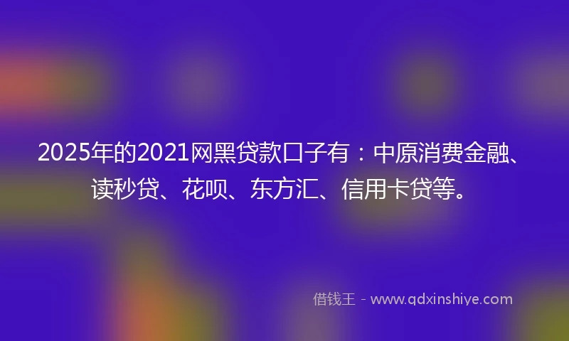 2025年的2021网黑贷款口子有：中原消费金融、读秒贷、花呗、东方汇、信用卡贷等。