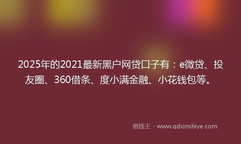 2025年的2021最新黑户网贷口子有：e微贷、投友圈、360借条、度小满金融、小花钱包等。