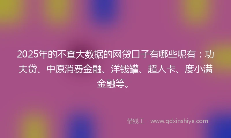 2025年的不查大数据的网贷口子有哪些呢有：功夫贷、中原消费金融、洋钱罐、超人卡、度小满金融等。
