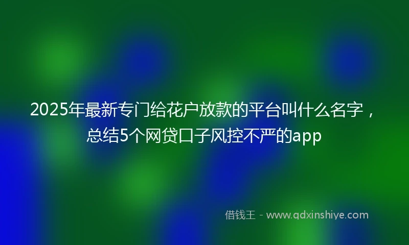 2025年最新专门给花户放款的平台叫什么名字，总结5个网贷口子风控不严的app