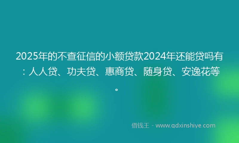 2025年的不查征信的小额贷款2024年还能贷吗有：人人贷、功夫贷、惠商贷、随身贷、安逸花等。