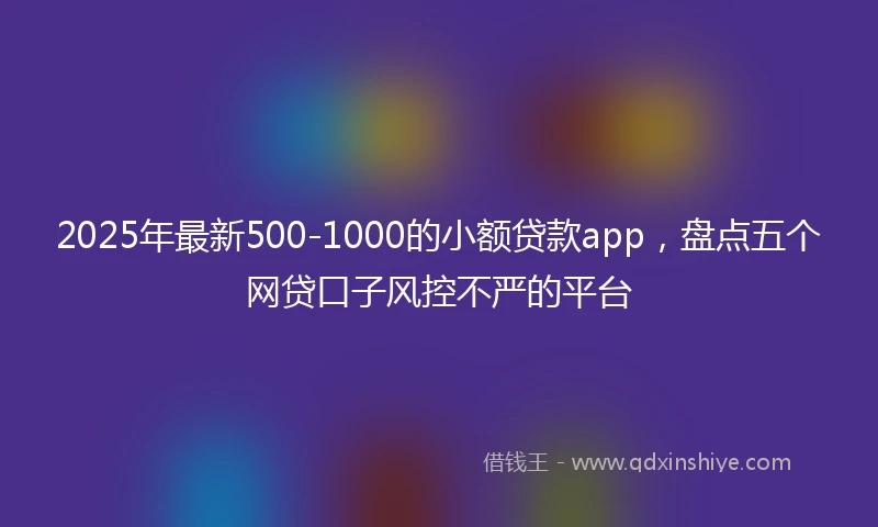 2025年最新500-1000的小额贷款app，盘点五个网贷口子风控不严的平台