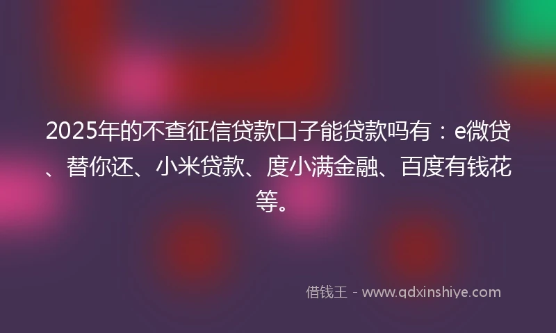 2025年的不查征信贷款口子能贷款吗有：e微贷、替你还、小米贷款、度小满金融、百度有钱花等。