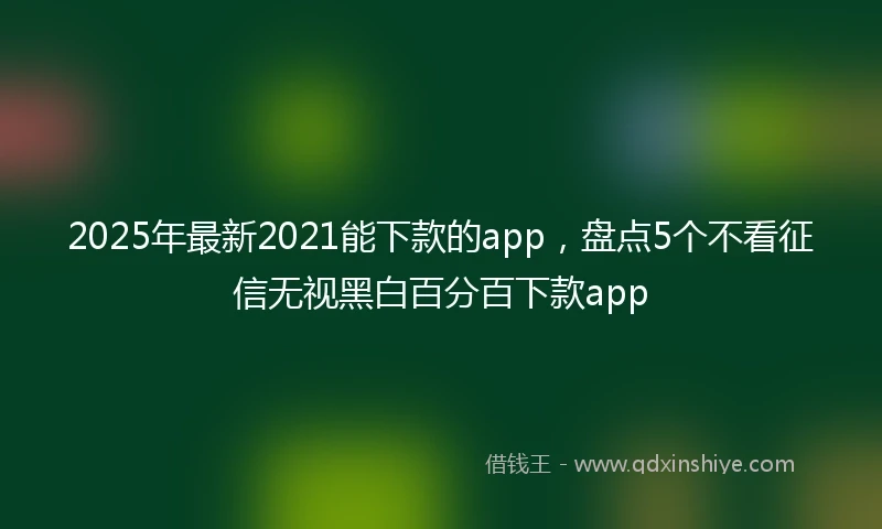 2025年最新2021能下款的app，盘点5个不看征信无视黑白百分百下款app