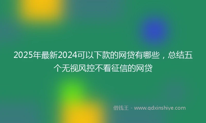 2025年最新2024可以下款的网贷有哪些，总结五个无视风控不看征信的网贷