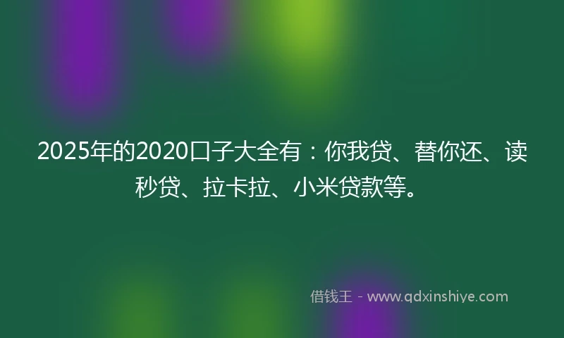 2025年的2020口子大全有：你我贷、替你还、读秒贷、拉卡拉、小米贷款等。