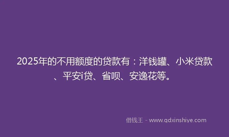2025年的不用额度的贷款有：洋钱罐、小米贷款、平安i贷、省呗、安逸花等。