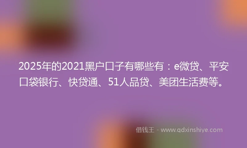 2025年的2021黑户口子有哪些有：e微贷、平安口袋银行、快贷通、51人品贷、美团生活费等。