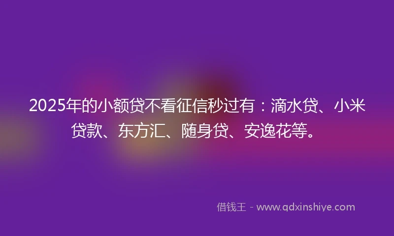 2025年的小额贷不看征信秒过有：滴水贷、小米贷款、东方汇、随身贷、安逸花等。