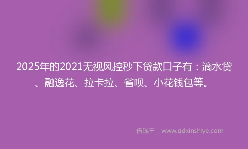 2025年的2021无视风控秒下贷款口子有：滴水贷、融逸花、拉卡拉、省呗、小花钱包等。