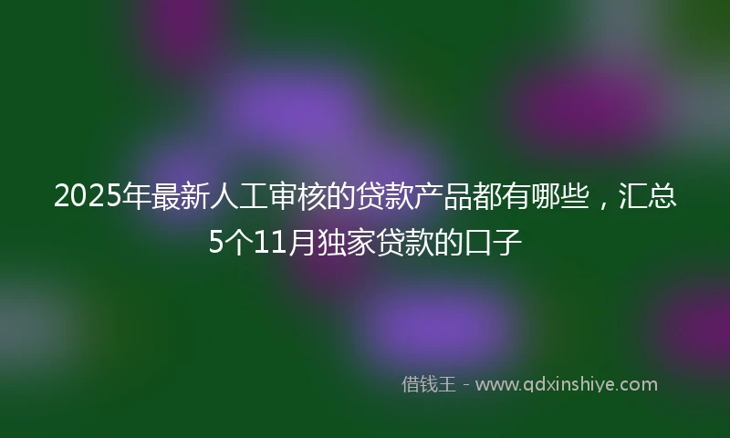 2025年最新人工审核的贷款产品都有哪些，汇总5个11月独家贷款的口子