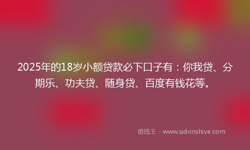 2025年的18岁小额贷款必下口子有：你我贷、分期乐、功夫贷、随身贷、百度有钱花等。