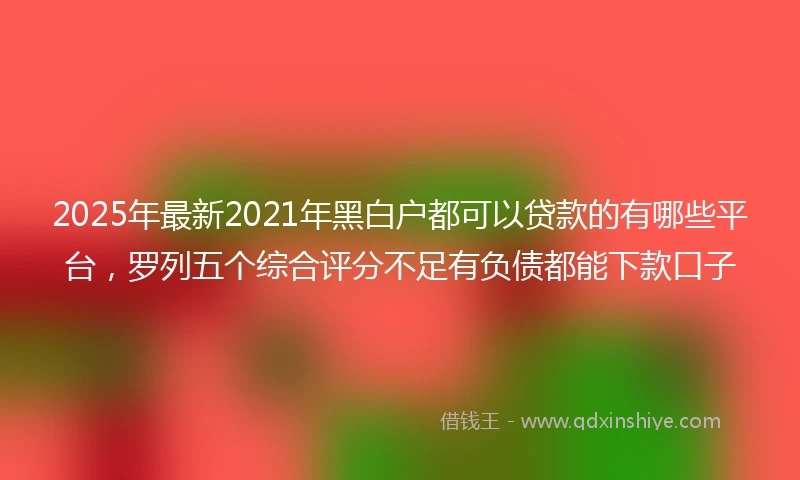 2025年最新2021年黑白户都可以贷款的有哪些平台，罗列五个综合评分不足有负债都能下款口子