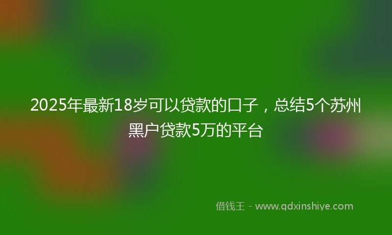2025年最新18岁可以贷款的口子，总结5个苏州黑户贷款5万的平台