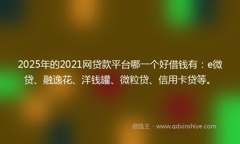 2025年的2021网贷款平台哪一个好借钱有：e微贷、融逸花、洋钱罐、微粒贷、信用卡贷等。
