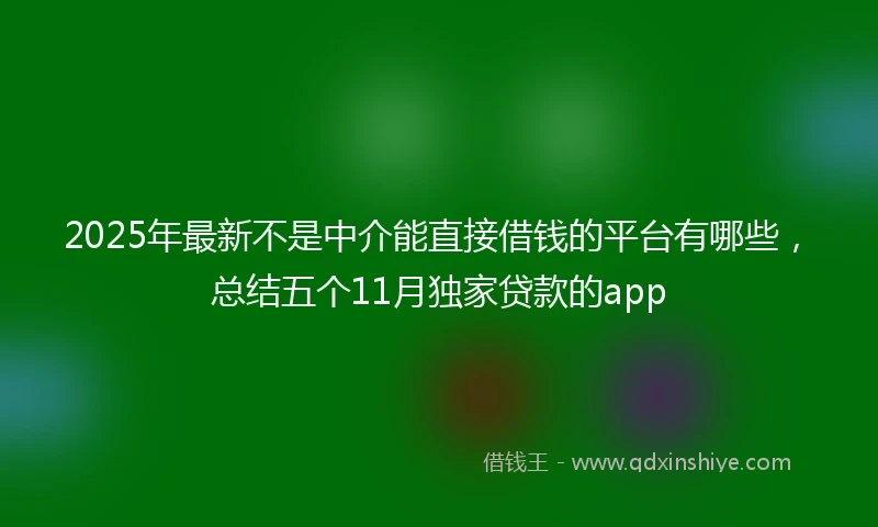 2025年最新不是中介能直接借钱的平台有哪些，总结五个11月独家贷款的app
