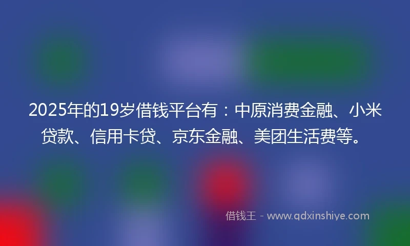 2025年的19岁借钱平台有：中原消费金融、小米贷款、信用卡贷、京东金融、美团生活费等。