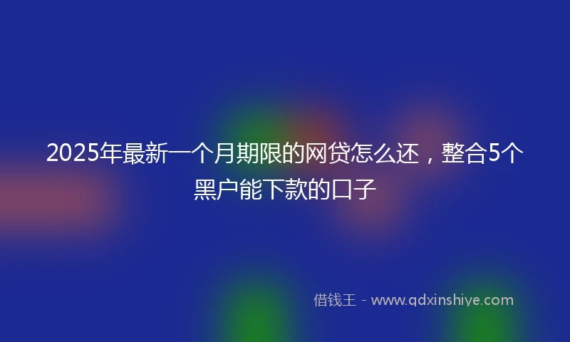 2025年最新一个月期限的网贷怎么还，整合5个黑户能下款的口子