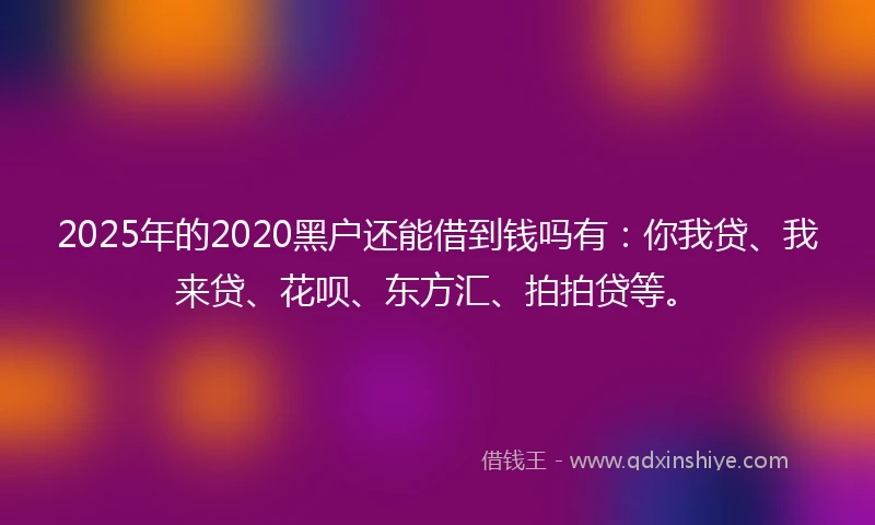2025年的2020黑户还能借到钱吗有：你我贷、我来贷、花呗、东方汇、拍拍贷等。