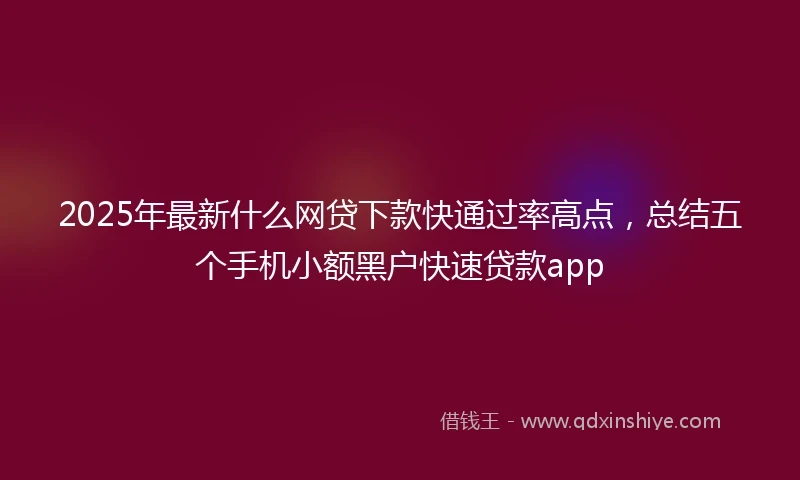 2025年最新什么网贷下款快通过率高点，总结五个手机小额黑户快速贷款app