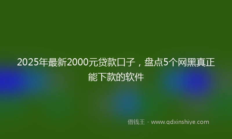 2025年最新2000元贷款口子，盘点5个网黑真正能下款的软件