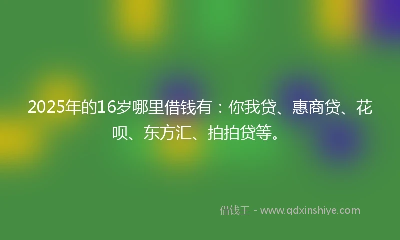 2025年的16岁哪里借钱有：你我贷、惠商贷、花呗、东方汇、拍拍贷等。