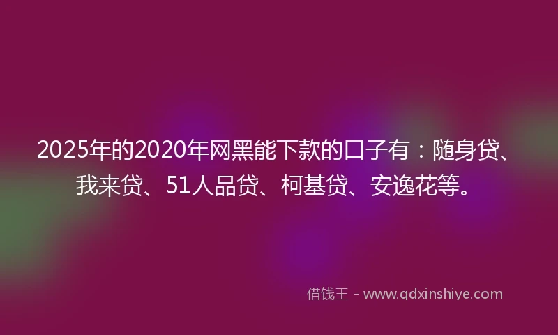2025年的2020年网黑能下款的口子有：随身贷、我来贷、51人品贷、柯基贷、安逸花等。