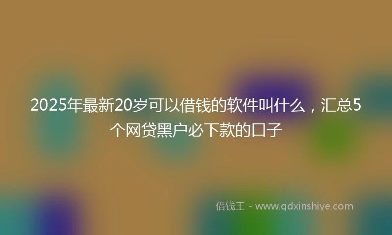 2025年最新20岁可以借钱的软件叫什么，汇总5个网贷黑户必下款的口子
