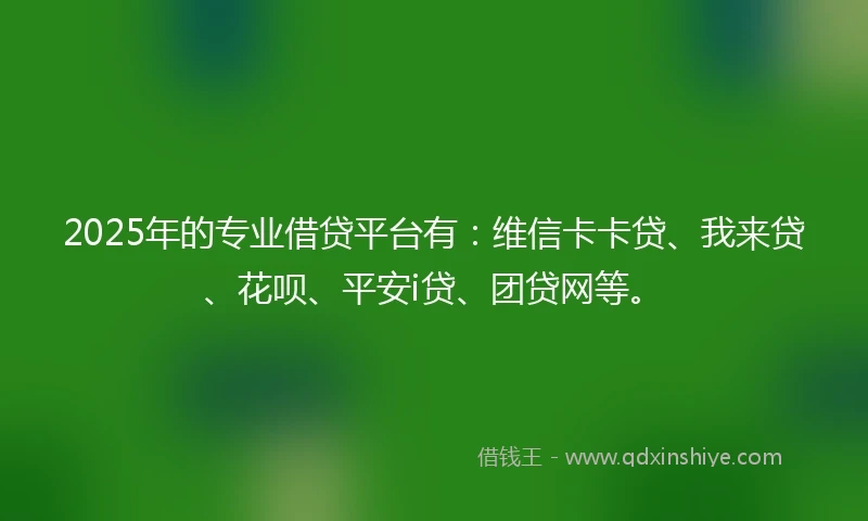 2025年的专业借贷平台有：维信卡卡贷、我来贷、花呗、平安i贷、团贷网等。