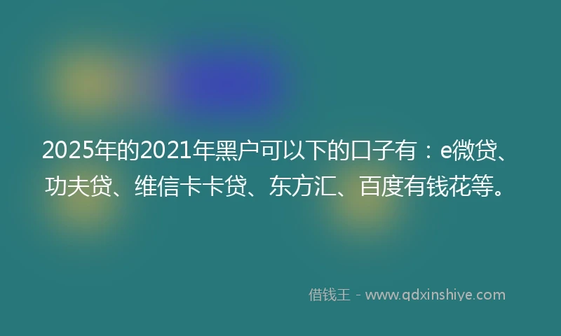 2025年的2021年黑户可以下的口子有：e微贷、功夫贷、维信卡卡贷、东方汇、百度有钱花等。
