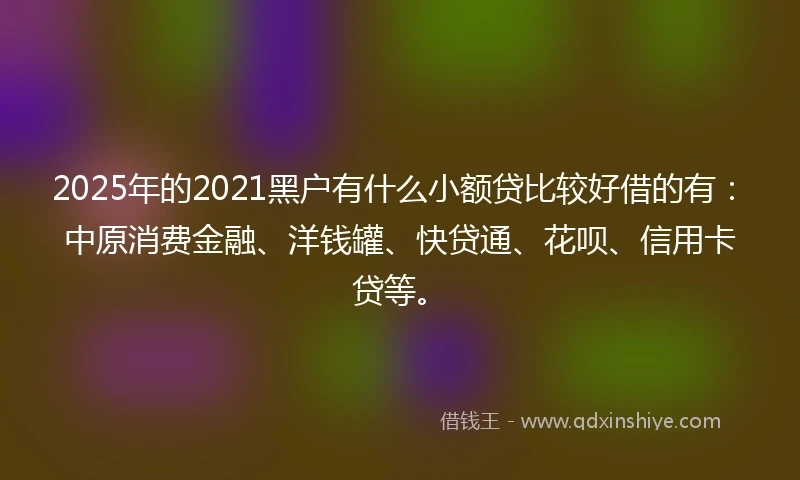 2025年的2021黑户有什么小额贷比较好借的有：中原消费金融、洋钱罐、快贷通、花呗、信用卡贷等。