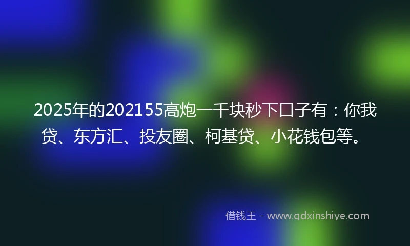 2025年的202155高炮一千块秒下口子有：你我贷、东方汇、投友圈、柯基贷、小花钱包等。