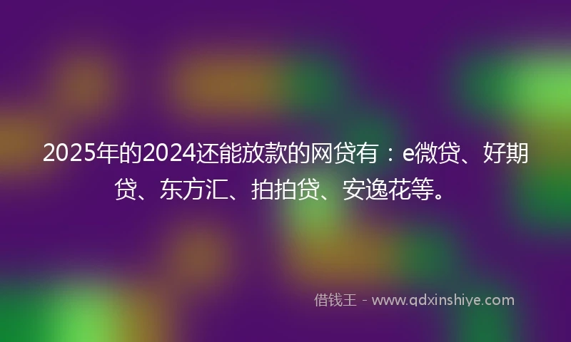 2025年的2024还能放款的网贷有：e微贷、好期贷、东方汇、拍拍贷、安逸花等。