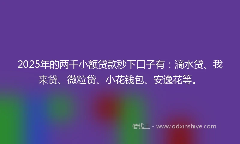 2025年的两千小额贷款秒下口子有：滴水贷、我来贷、微粒贷、小花钱包、安逸花等。
