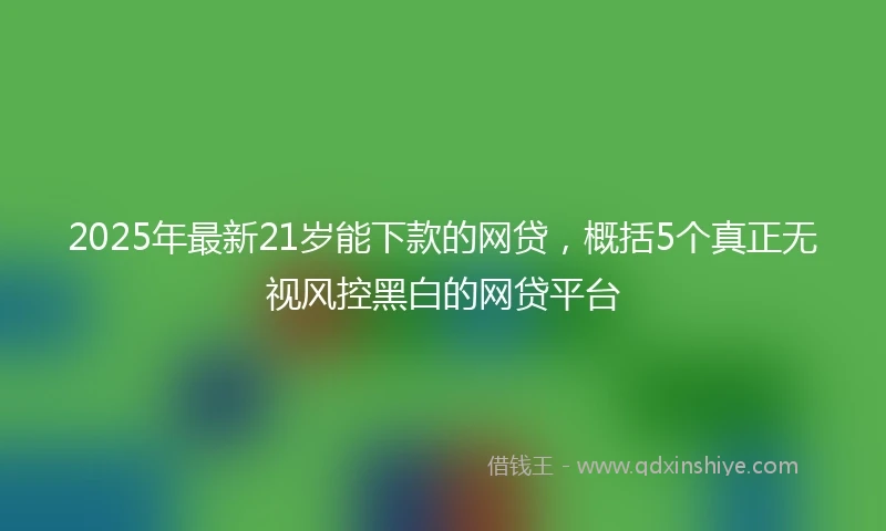 2025年最新21岁能下款的网贷，概括5个真正无视风控黑白的网贷平台