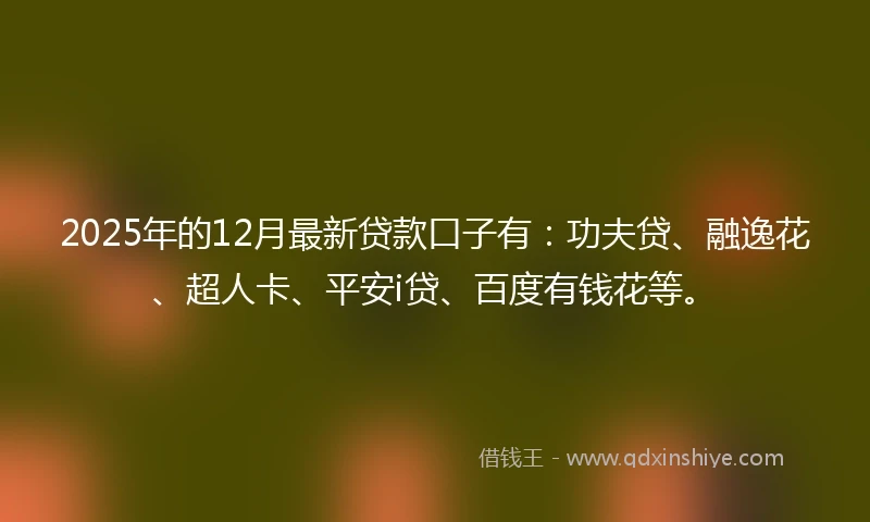 2025年的12月最新贷款口子有：功夫贷、融逸花、超人卡、平安i贷、百度有钱花等。