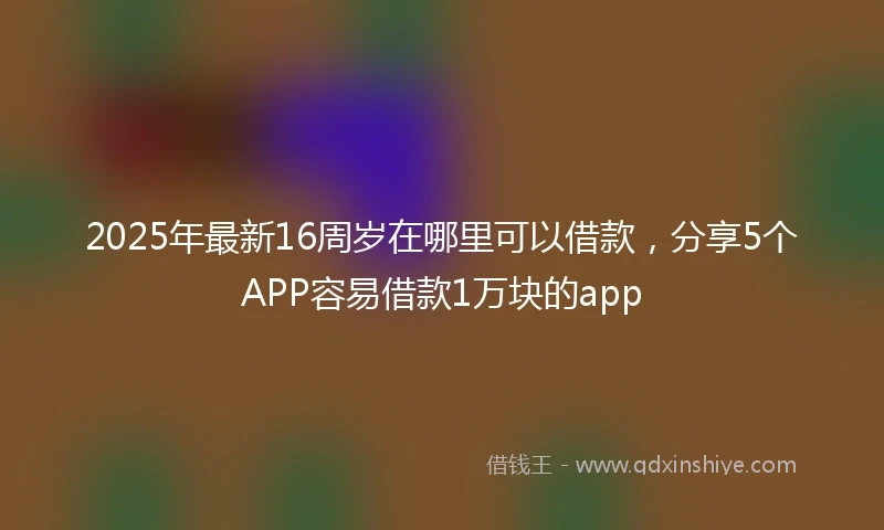 2025年最新16周岁在哪里可以借款，分享5个APP容易借款1万块的app