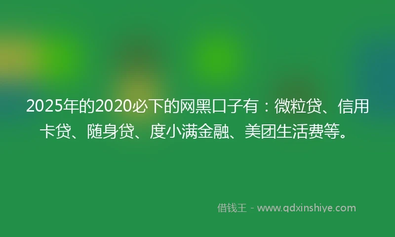 2025年的2020必下的网黑口子有：微粒贷、信用卡贷、随身贷、度小满金融、美团生活费等。
