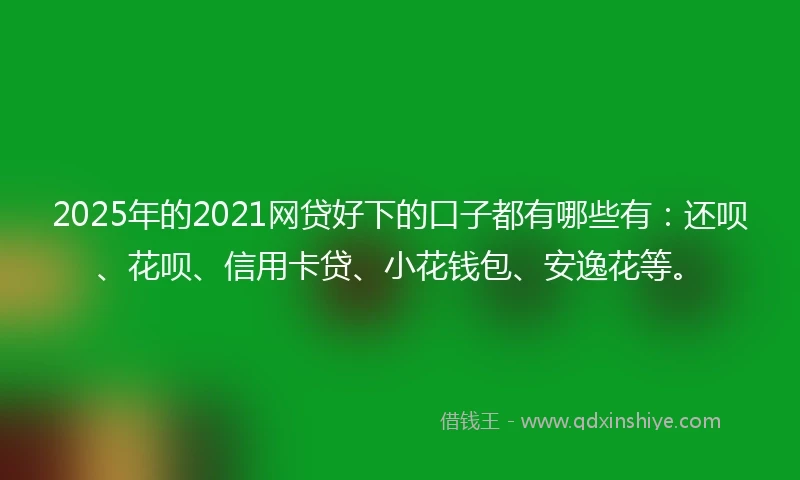 2025年的2021网贷好下的口子都有哪些有：还呗、花呗、信用卡贷、小花钱包、安逸花等。