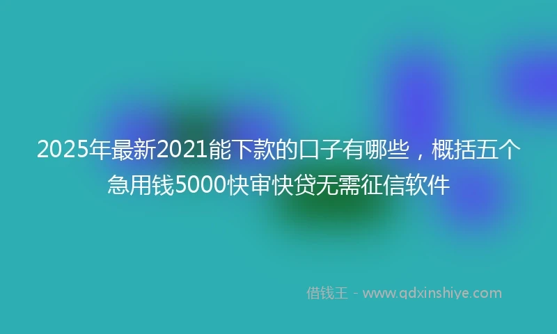 2025年最新2021能下款的口子有哪些，概括五个急用钱5000快审快贷无需征信软件