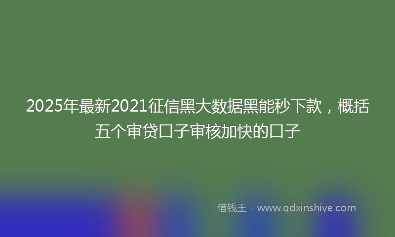 2025年最新2021征信黑大数据黑能秒下款，概括五个审贷口子审核加快的口子