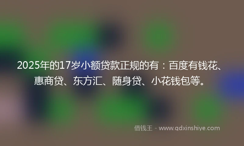 2025年的17岁小额贷款正规的有：百度有钱花、惠商贷、东方汇、随身贷、小花钱包等。