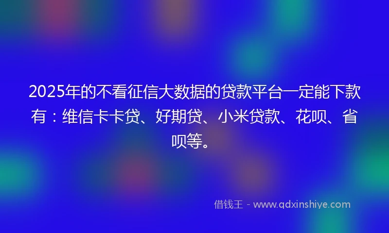 2025年的不看征信大数据的贷款平台一定能下款有：维信卡卡贷、好期贷、小米贷款、花呗、省呗等。